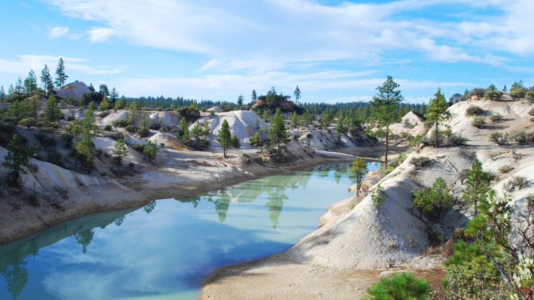 trees and water on sunny day in Malakoff Diggins, California