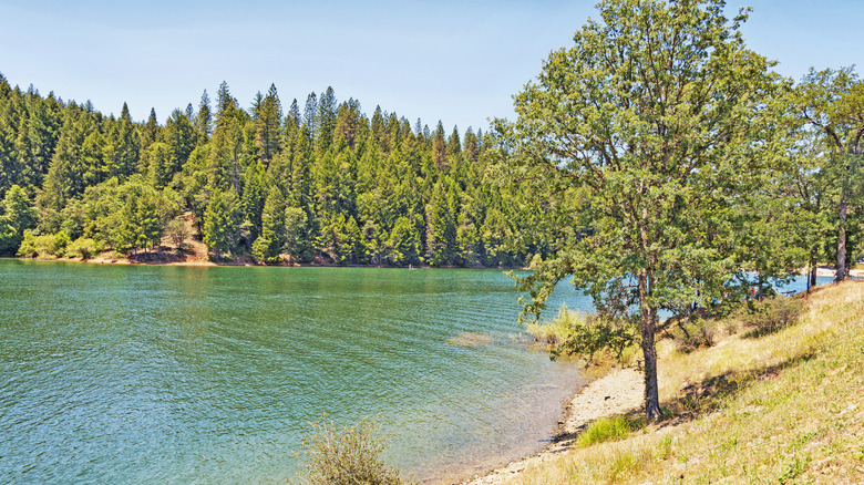 Rollins Lake near Colfax, Calif.