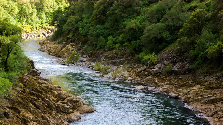 River flowing near Colfax amidst greenery