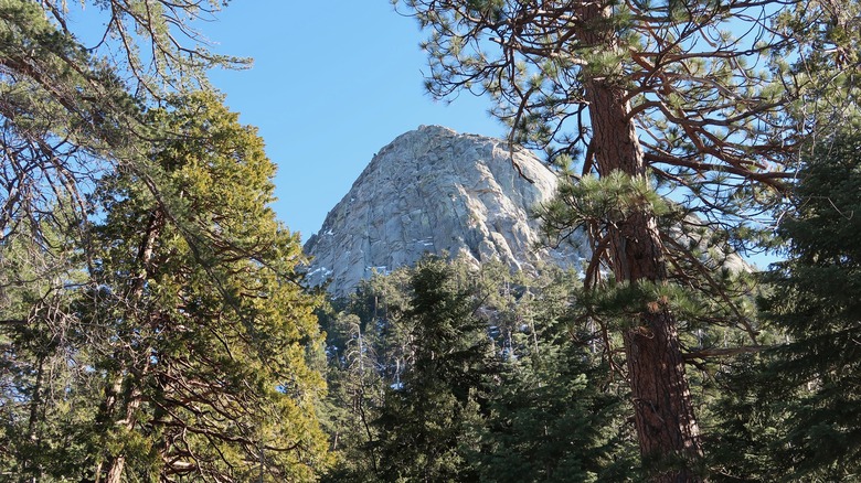 View of mountains from Idyllwild, California