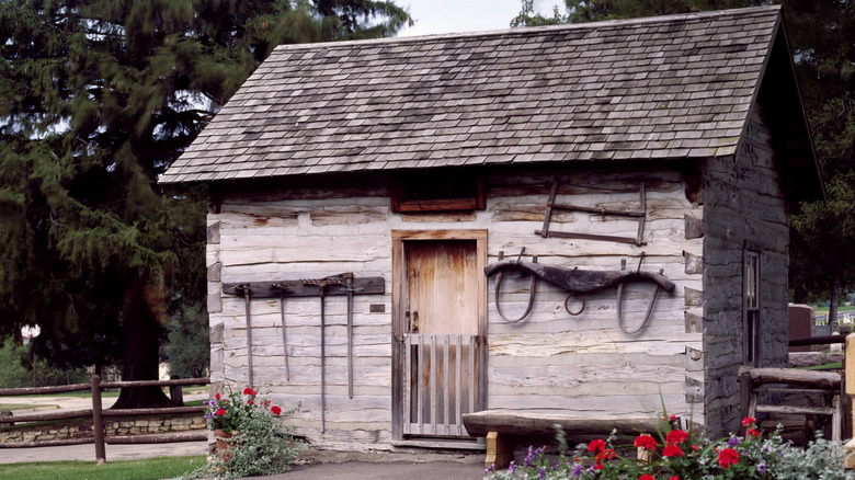 Scandanavian-style wood cabin with a garden in Mount Horeb