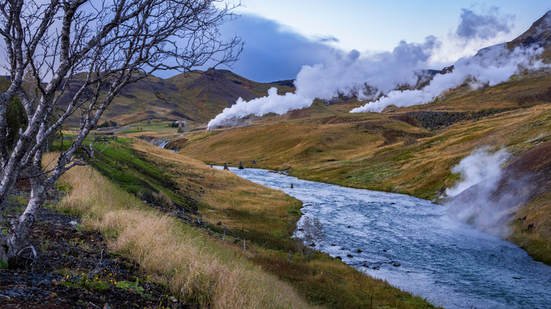 A geothermal field in Hveragerdi, Iceland