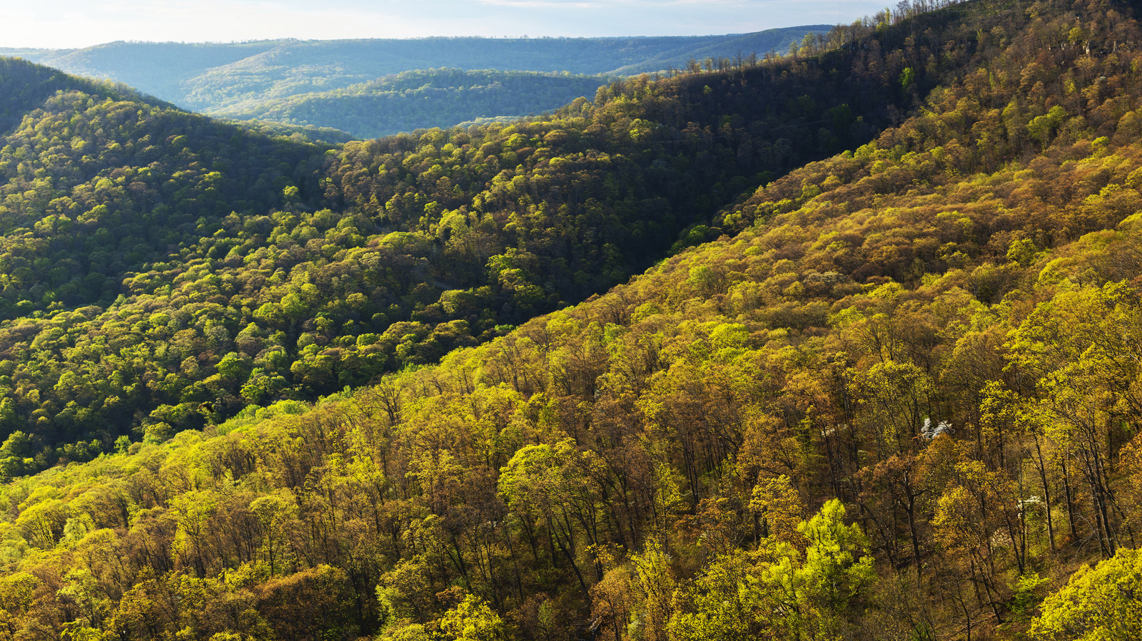 Remote Mountain Escapes Reference: A Remote Mountain In Arkansas Ozarks Offers A Quintessential Escape
