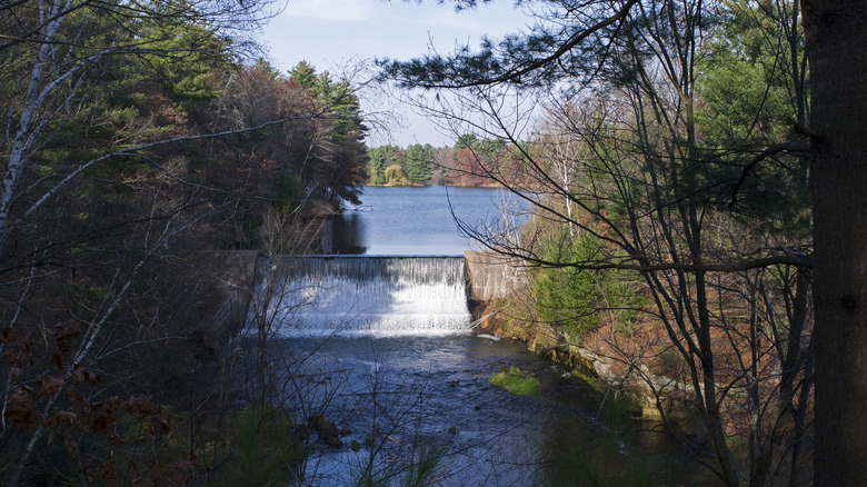 A flowing man-made waterfall connecting a lake and a river with surrounding trees.