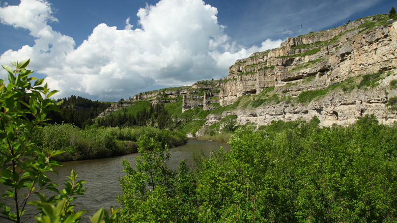 Rocky canyon walls and foliage along Belt Creek in Sluice Boxes State Park