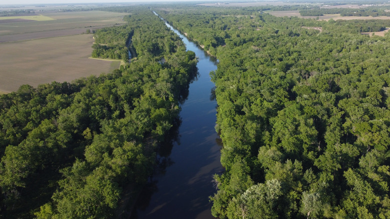 The Kankakee River in Indiana, surrounded by lush trees