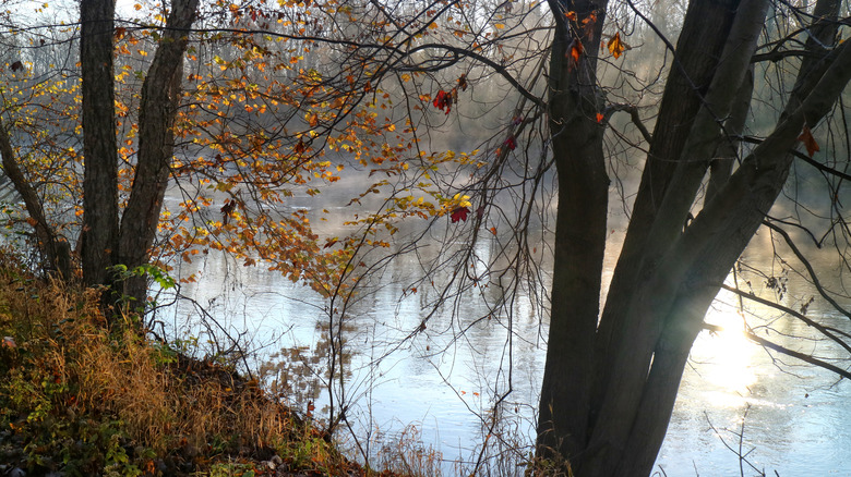 Mist rising off of the Kankakee River in Grand Kankakee Marsh County Park
