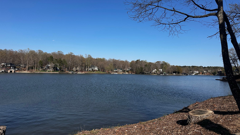 Lake Wylie on the South Carolina side by Tega Cay