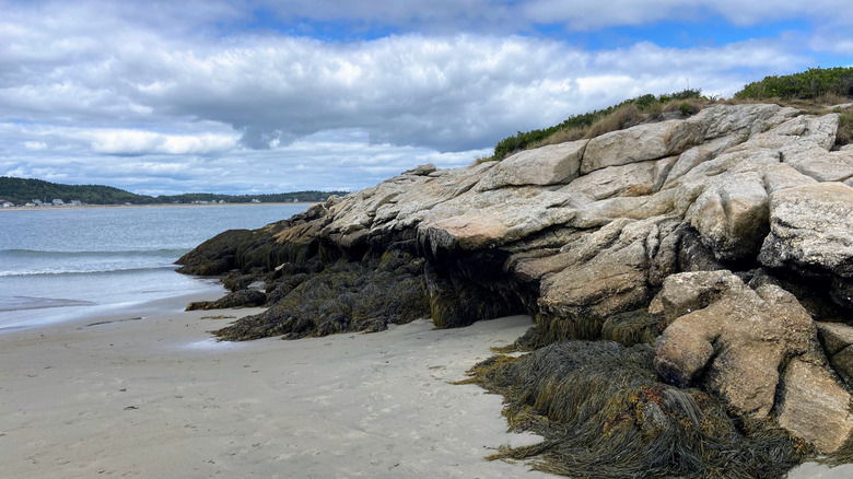 Island view fro Popham Beach