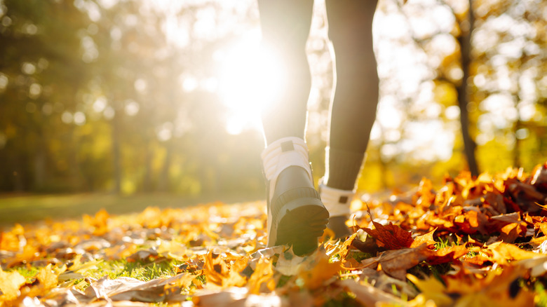 Female hiker with leaves beneath her feet