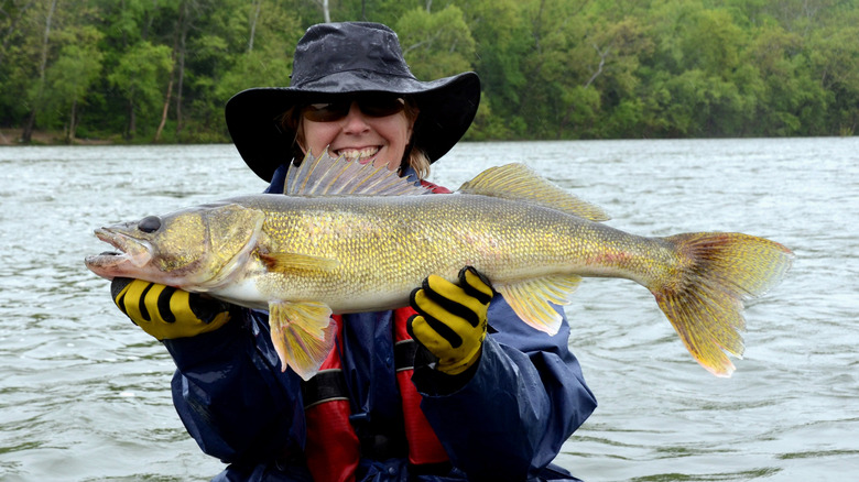 Woman in a boat holding recently caught fish from a lake in Minnesota