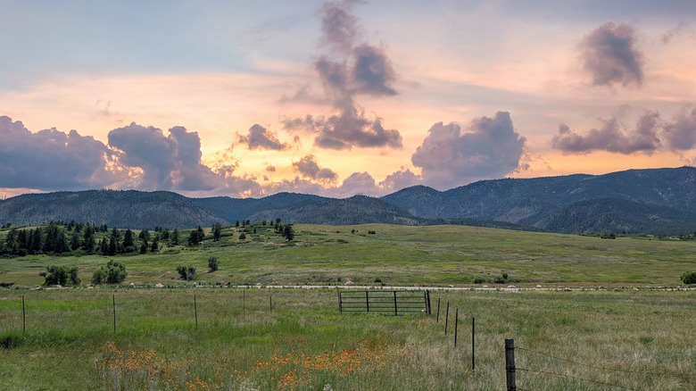 Sunrise over Sandstone Ranch in Larkspur, Colorado