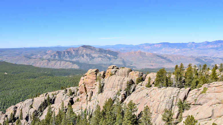 View from Devil's Head Lookout, Pike National Forest