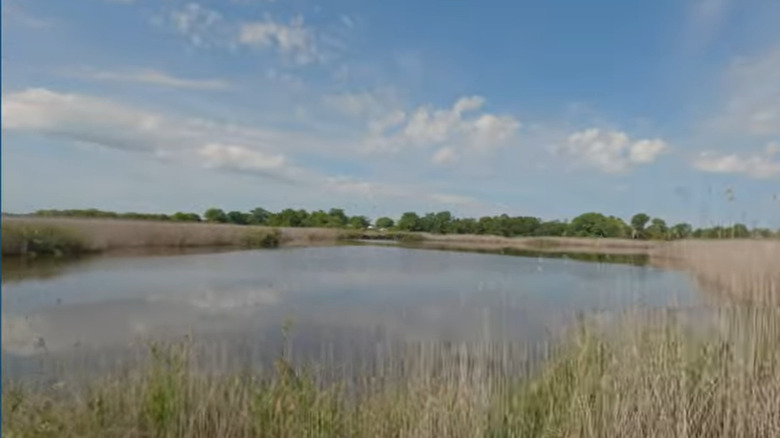 A view of the trail along the C&D Canal in Delaware