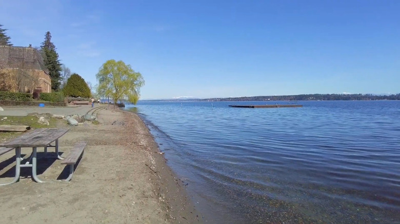 Madrona Park Beach in Seattle, Washington
