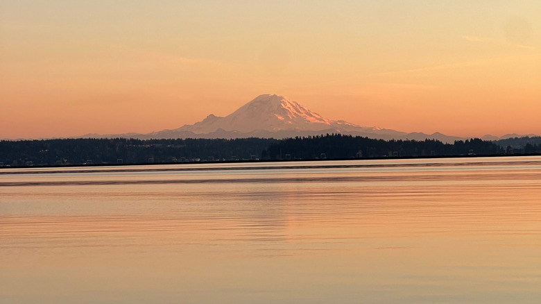 Mount Rainier in the distance from Madrona Park