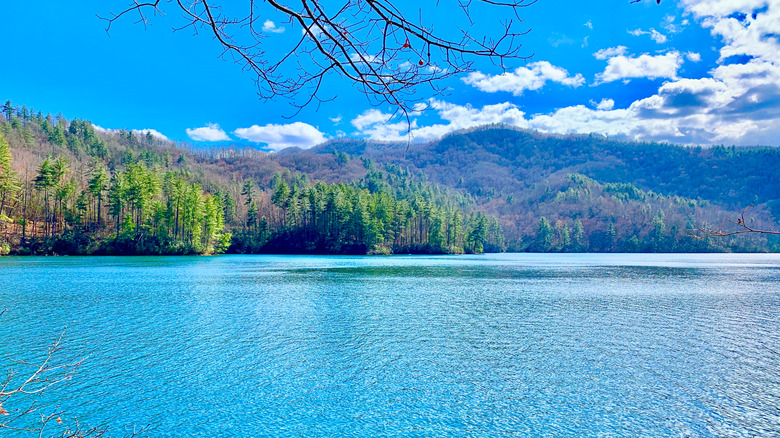 View of the Santeetlah Lake and the Nantahala National Forest