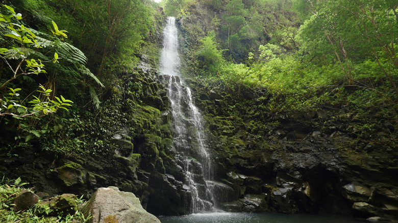 Koloa Gulch Hike waterfall