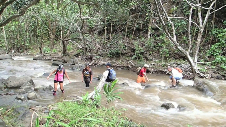 dangerous stream crossing on the Koloa Gulch trail