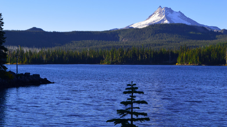 Olallie Lake area with Mount Jefferson in the background