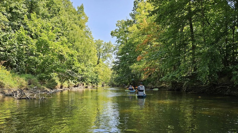 Kayakers on Clinton River, surrounded by greenery