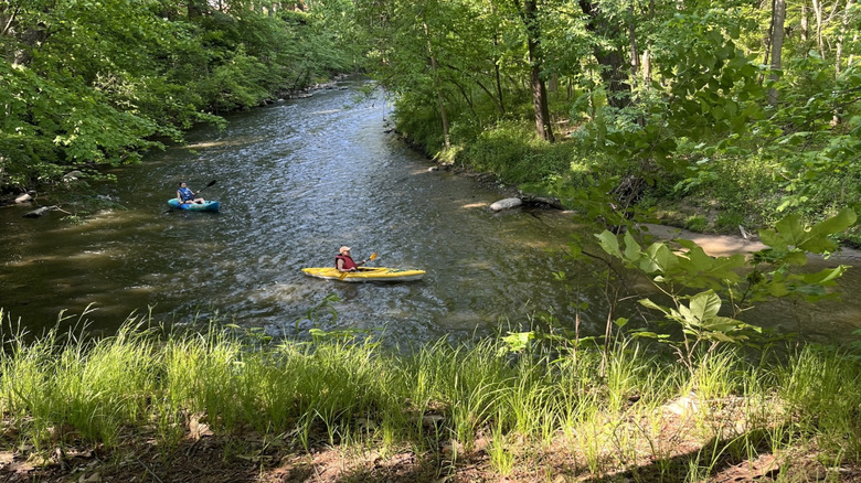 Two kayakers on Clinton River surrounded by greenery