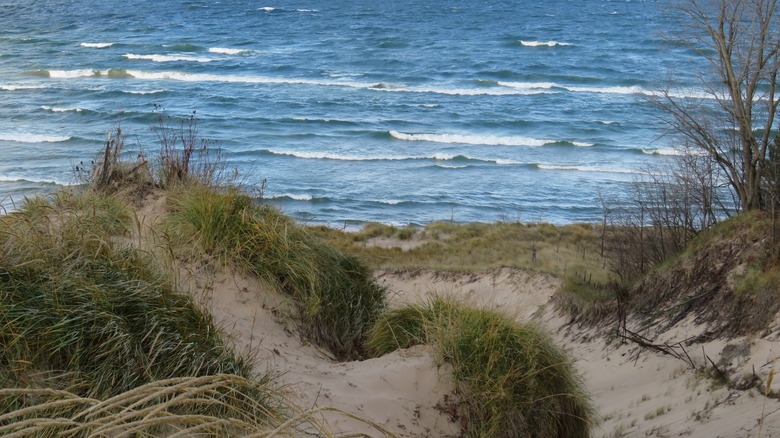 The dune-covered shore of Laketown Beach, Michigan