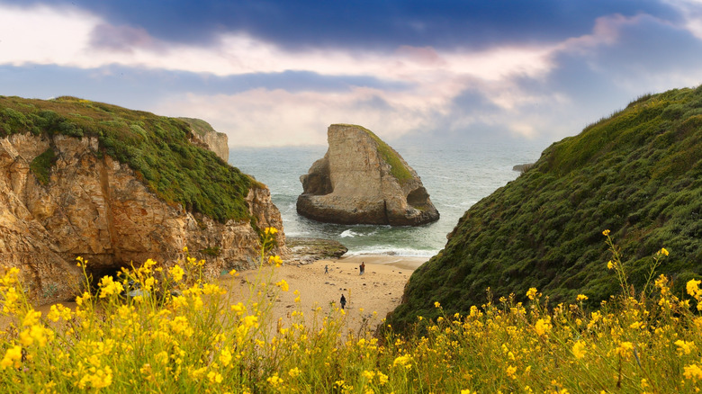 Shark Fin Cove, Davenport, CA