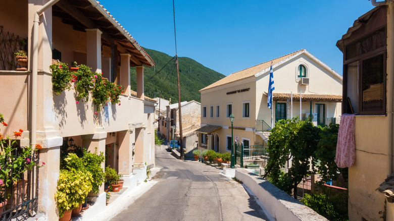 Houses on street with plants, bushes, and Greek flag