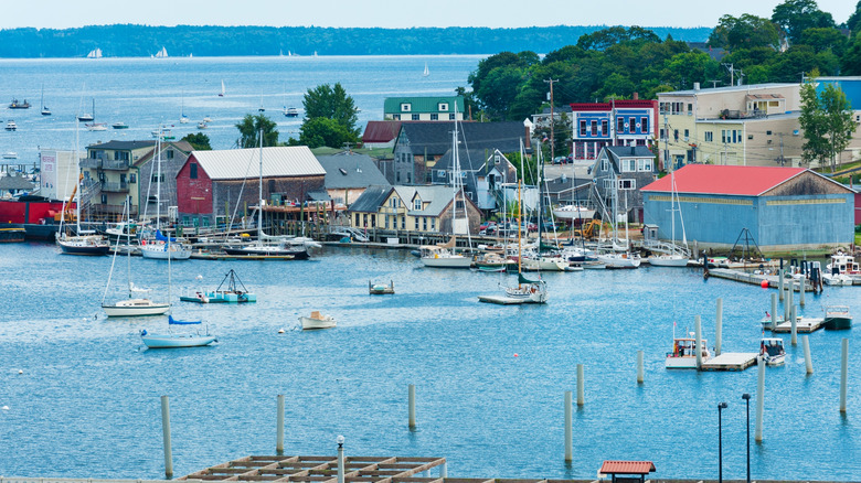 Aerial shot of Belfast, Maine shows many sail boats in a lake with some coastal buildings.
