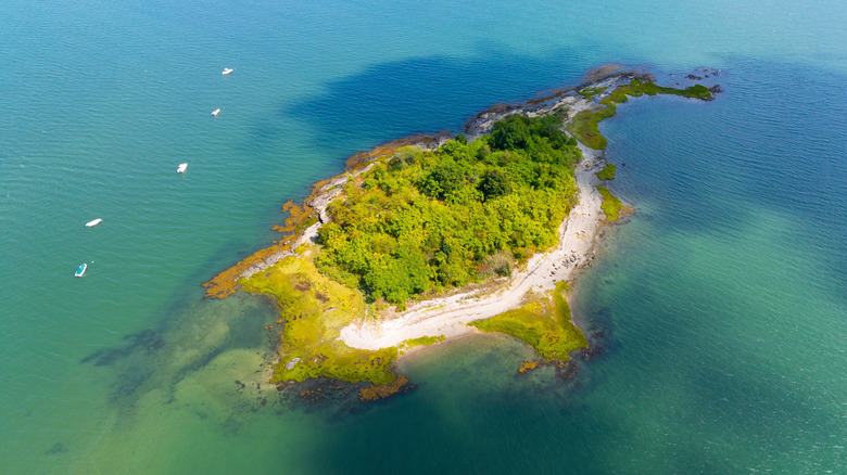 An aerial view of Raccoon Island, Boston Harbor Islands National Recreational Area