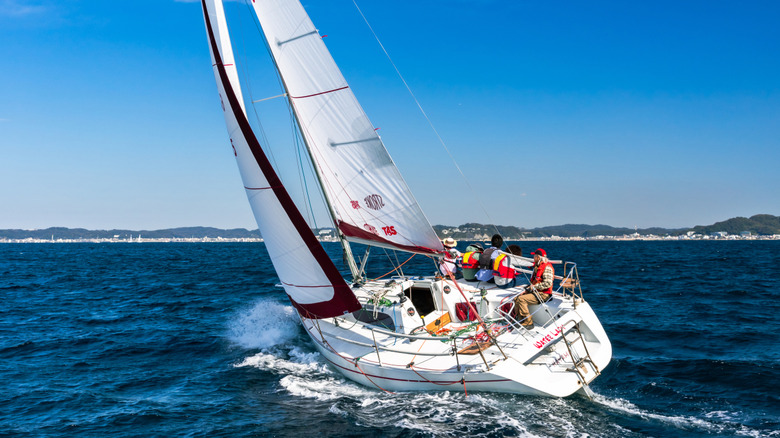 A group of friends sailing out in the ocean