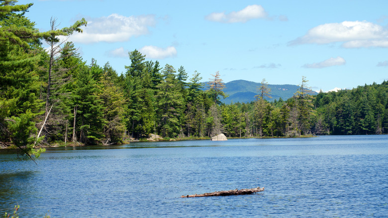Tupper Lake landscape with Mt. Marcy and high peaks wilderness in the background