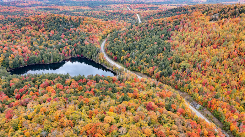 Panther Pond and route 3 from the summit of Panther Mountain