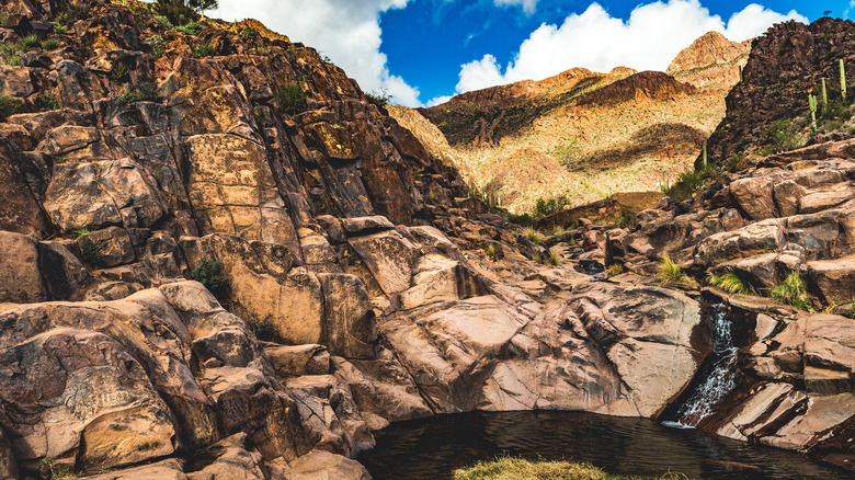 Petroglyphs on red rocks with water in pool and blue sky