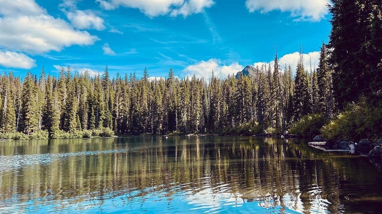 Trees reflected on the lake in Turpentine Lake in Oregon