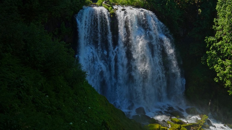 Marion Falls in Mount Jefferson Wilderness cascading over rocks near green trees