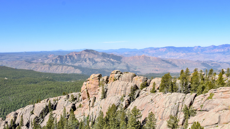 Rocky outcrop with forest and mountains behind at Devil's Head Lookout