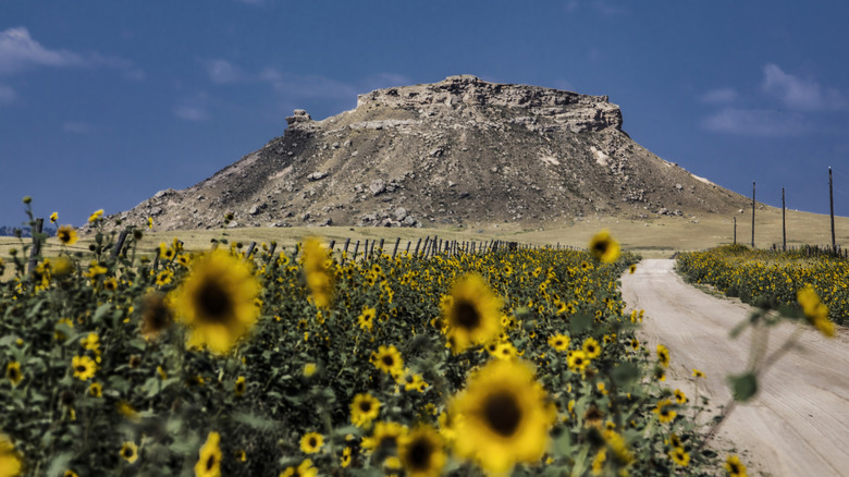 Tea Kettle Rock in Wyoming, which is about 12 miles away from Torrington.