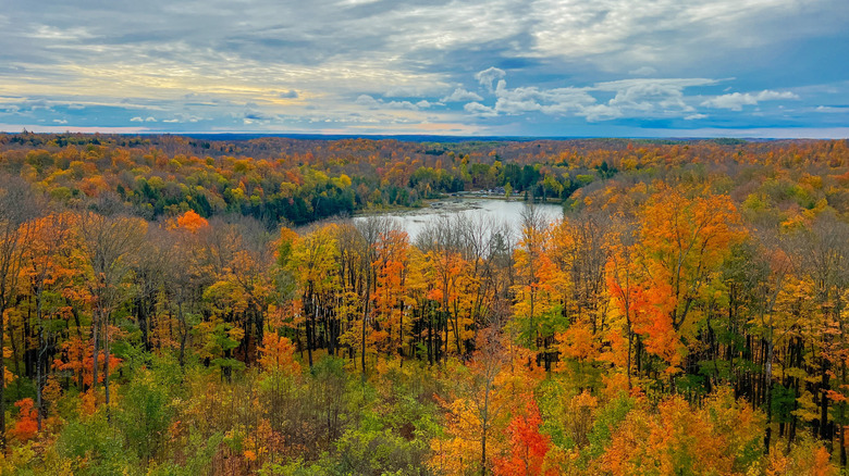 Fall leaves and the view from Timms Hill, Wisconsin