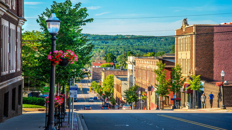A street during summer in downtown Marquette, MI