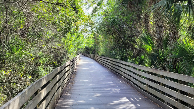 Hiking trail in Florida marked by wooden platform