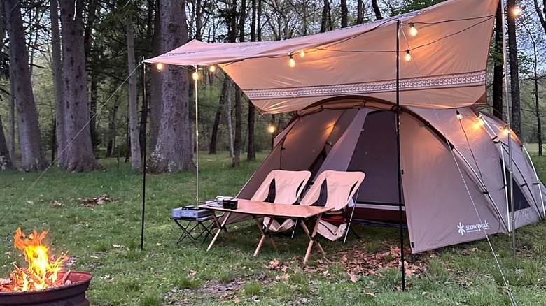 Tent and fire pit near the Neversink River