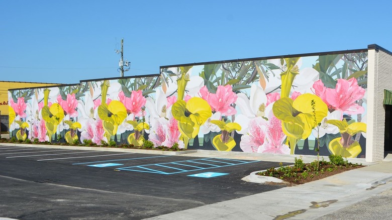 The Infinite Flowers mural in Lake City