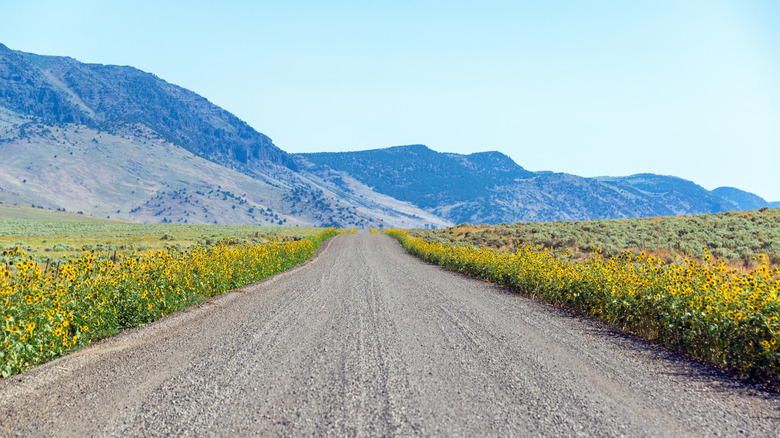 A road leading to Steens Mountain in Oregon