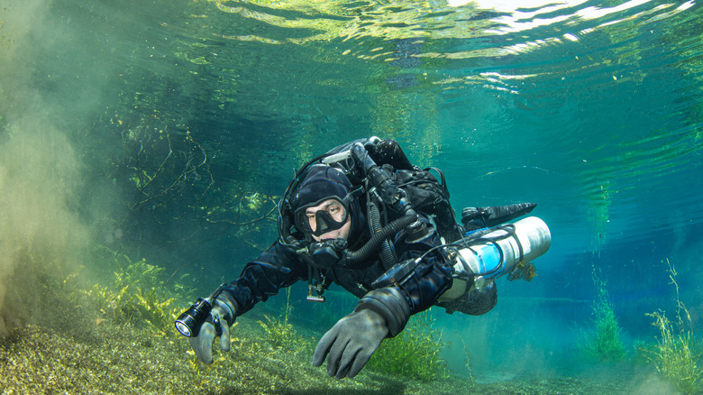 A scuba diver in a clear spring