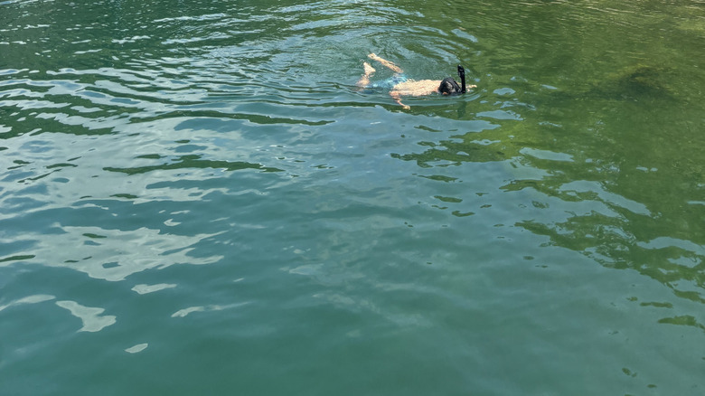 A person snorkeling in Beaver Lake, Arkansas