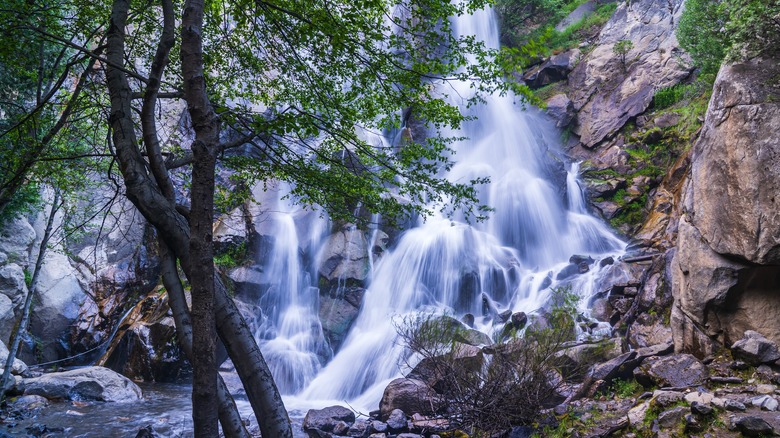 Grizzly Falls pouring into a stream