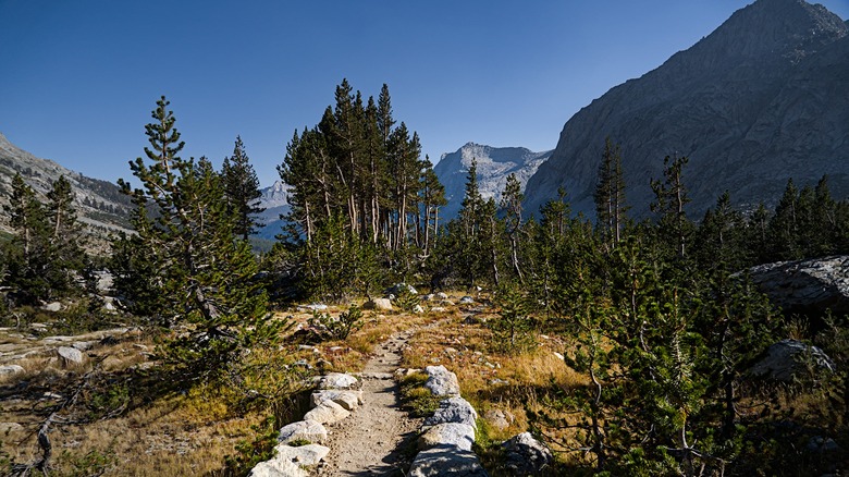 California's High Sierra Trail passes through valleys in the Sierra Nevada mountains