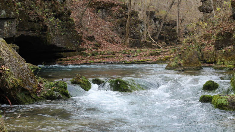 Greer Spring in Missouri's Mark Twain National Forest